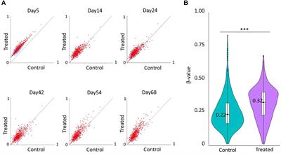 DNMT Inhibitors Increase Methylation in the Cancer Genome